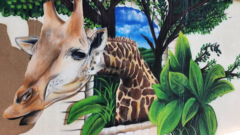 ציורי גרפיטי, אורבנסטייל, ציורי קיר,ציורי קיר לעסקים, גרפיטי, גרפיטי ישראל, גרפיטי לחברה, ציור קיר, ציור קיר לחברה, אמנות על קיר, אמנות רחוב, אמנות רחוב ישראל, אמן גרפיטי, אומנות גרפיטי, גרפיטי בישראל, אורבנסטייל, ציור קיר, ציורי קיר, גרפיטי, גרפיטי תל אביב, ציור על בניין, גרפיטי על בניין, graffiti tel aviv, street art tel aviv, mural tel aviv, painting tel aviv, tel aviv, artist tel aviv, street art artist, urbanstyle